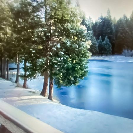 فيلا Water'S Edge Retreat شيفير ليك المظهر الخارجي الصورة